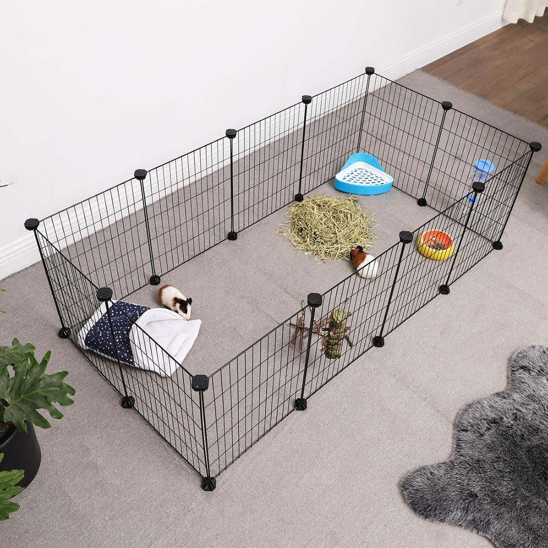 Guinea Pigs Cages