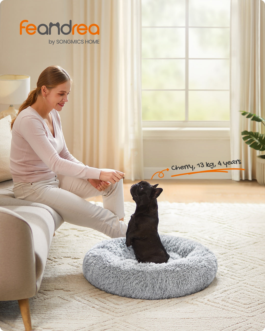 Gray Dog Bed with Removable Inner Cushion