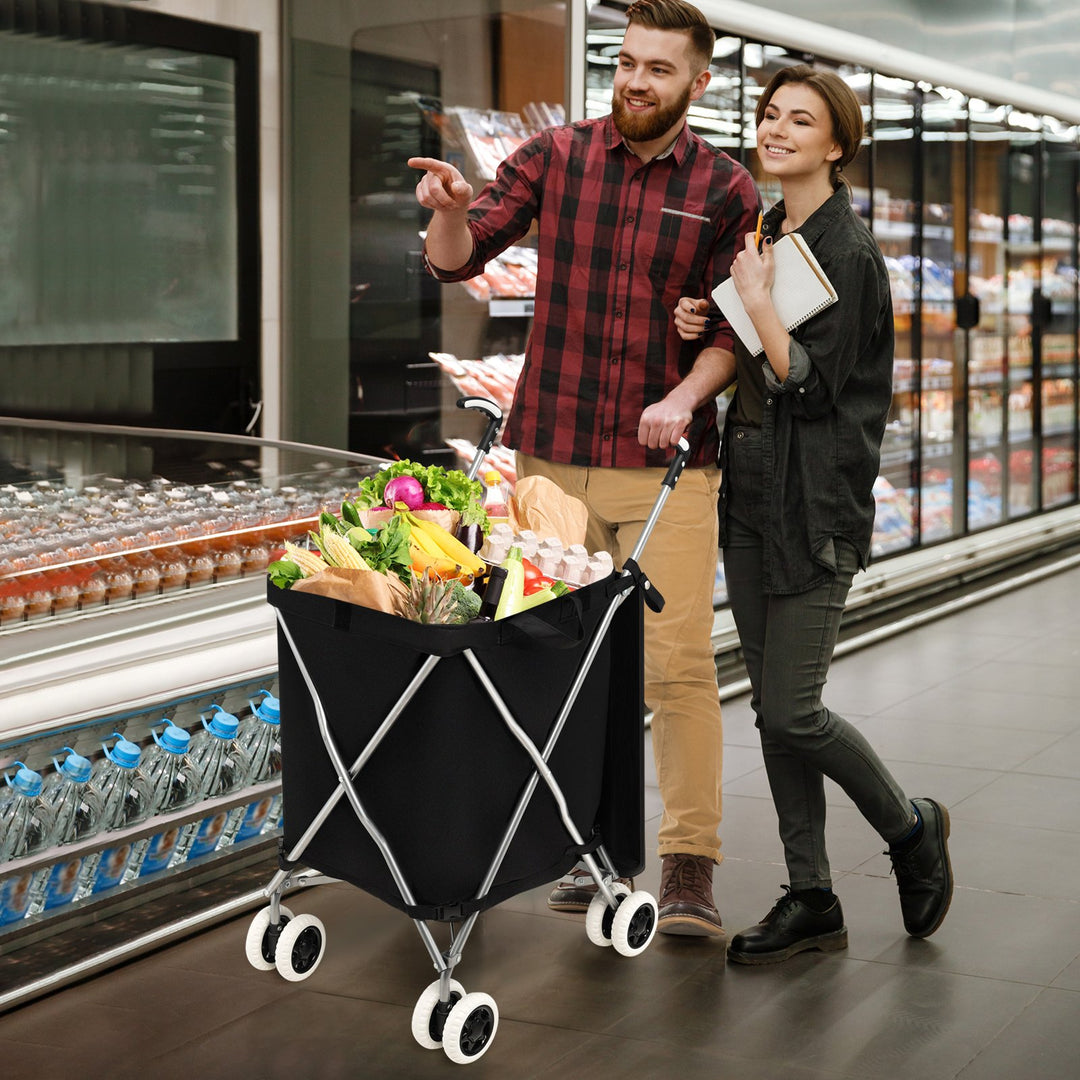 Folding Shopping Trolley with Removable Waterproof Bag- Black