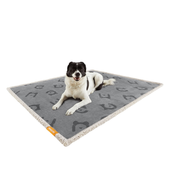 Waterproof Dog Blanket 127 x 101 cm