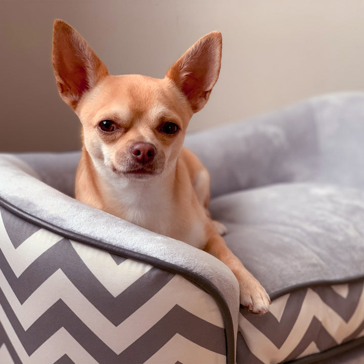 Dog Sofa Pet Couch for XS Dogs, Removable Sponge Padded Cushion - Grey