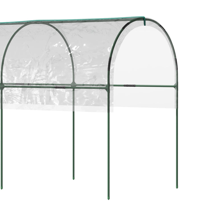 Tunnel Tomato Greenhouse with 4 Hoops and Top Tap, Pointed Bottom and Guy Ropes, Clear