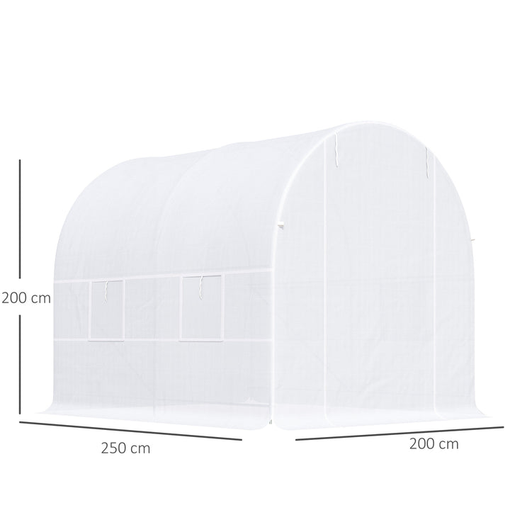 Outsunny 2.5 x 2 x 2 m Large Galvanized Steel Frame Outdoor Poly Tunnel Garden Walk-In Patio Greenhouse - White