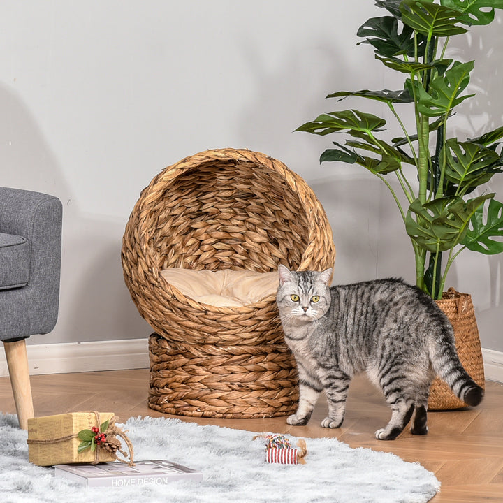 Wicker Cat Bed, Raised Rattan Cat Basket with Cylindrical Base, Soft Washable Cushion, Brown, 50 x 42 x 60 cm