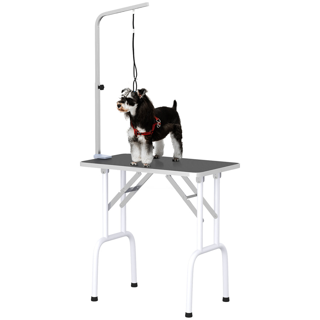 PawHut Folding Pet Grooming Table for Small Dogs with Adjustable Grooming Arm Max Load 30 KG, 81x48.5x80 cm