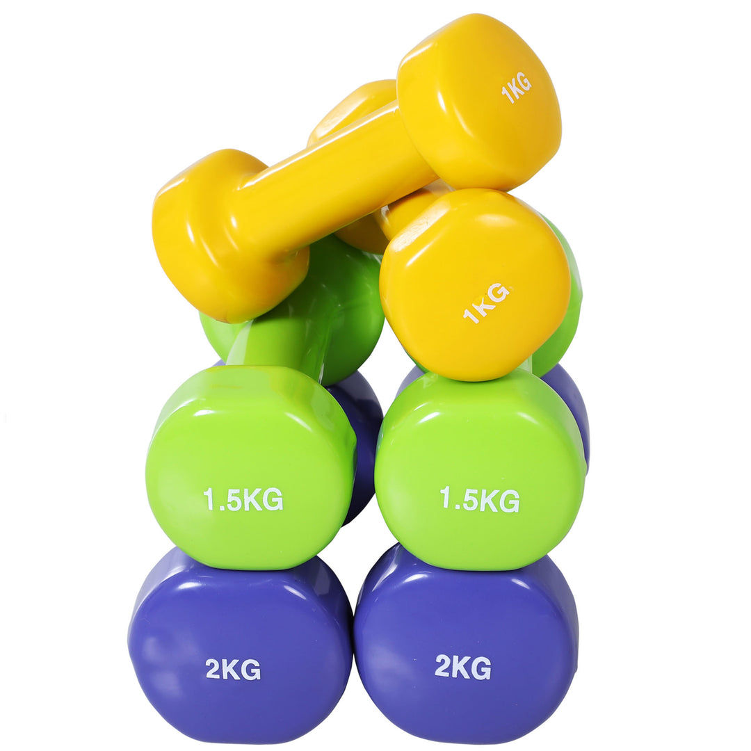 HOMCOM 10kg Dumbbell Weights Set with Carry Case Multi Colour Premium Ladies Weight Lifting Set