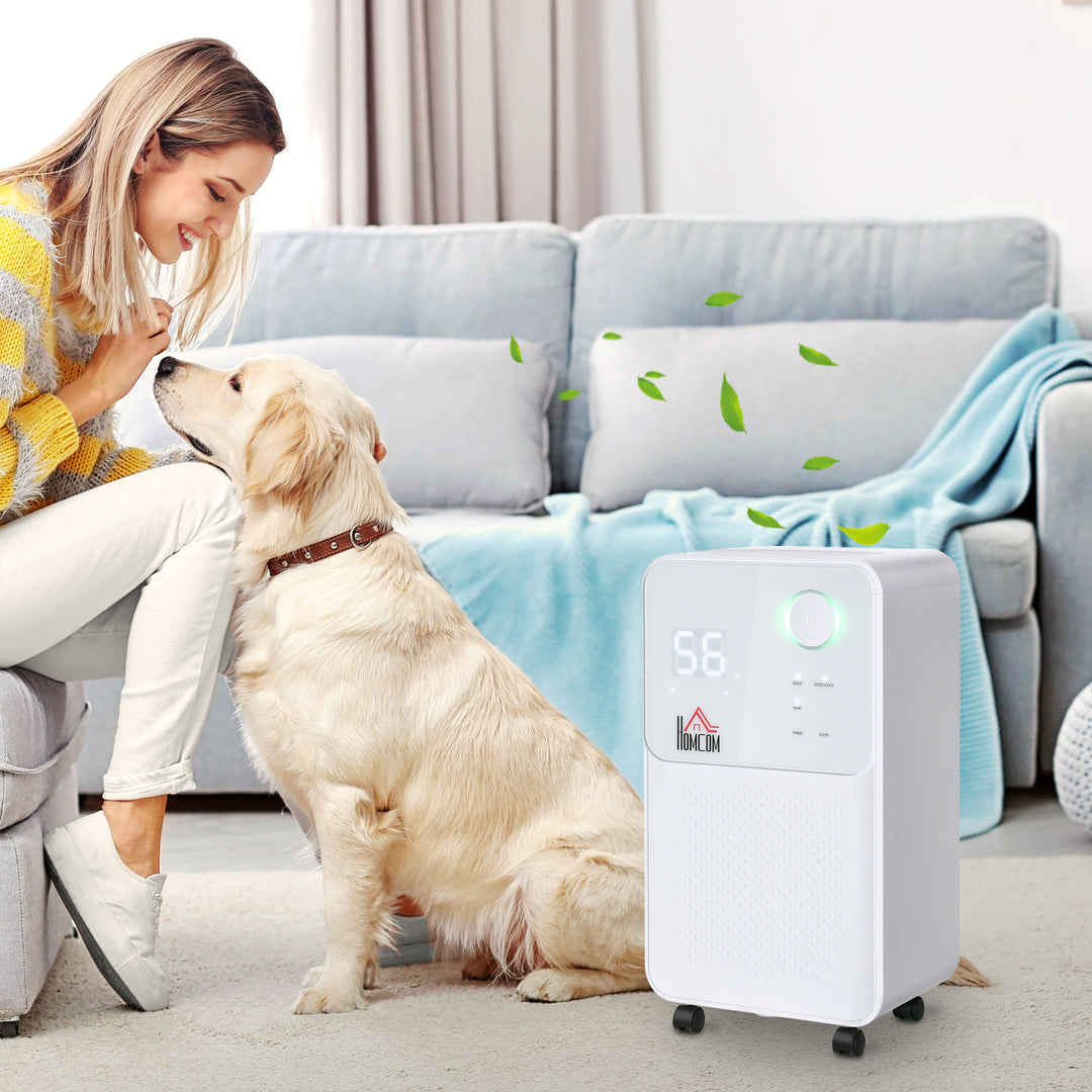 Portable Electric Dehumidifier with 4 Modes