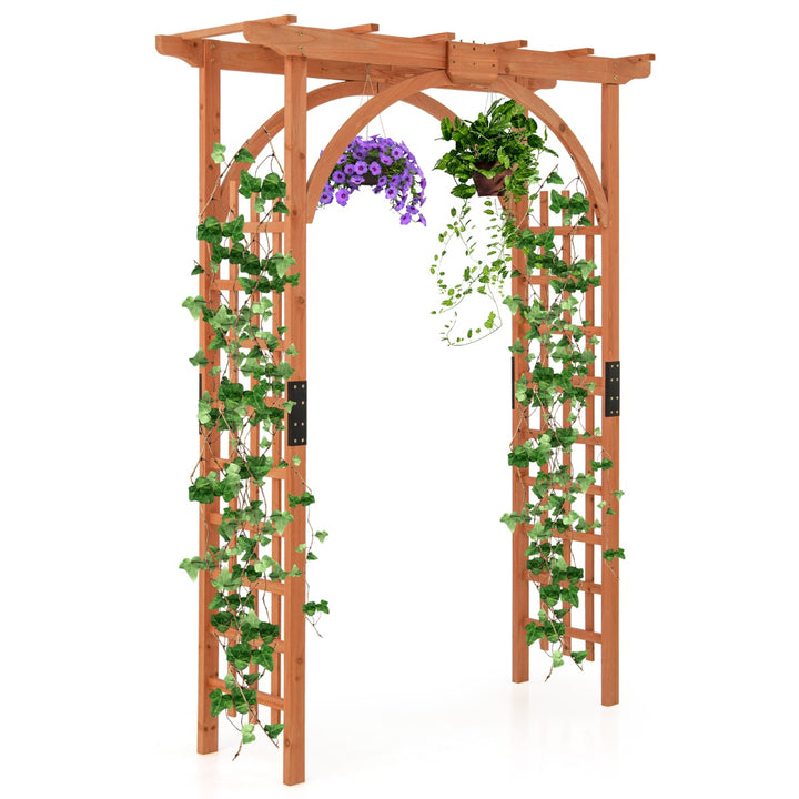 Wood Arch with Support Rack for Garden Plants