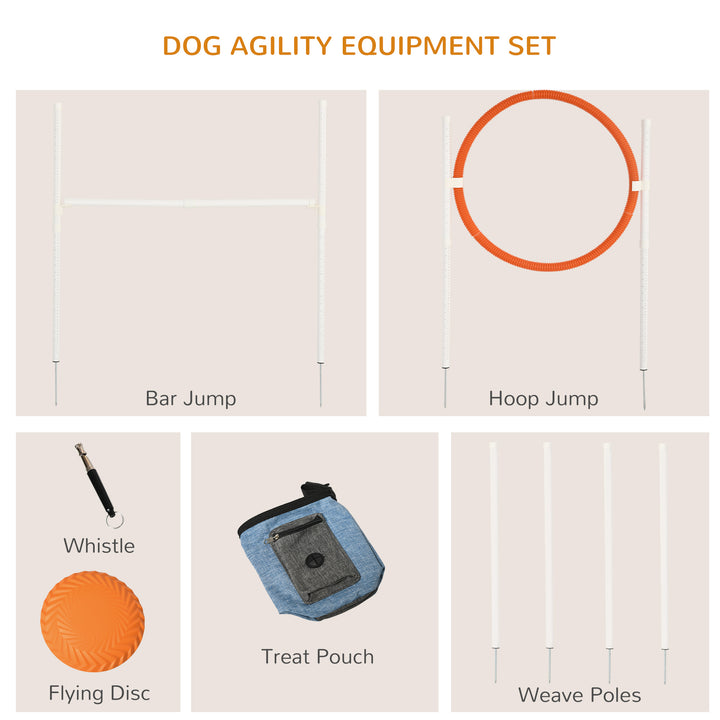 Pet Agility Training Equipment for Dogs with Carry Bag - Multicolour