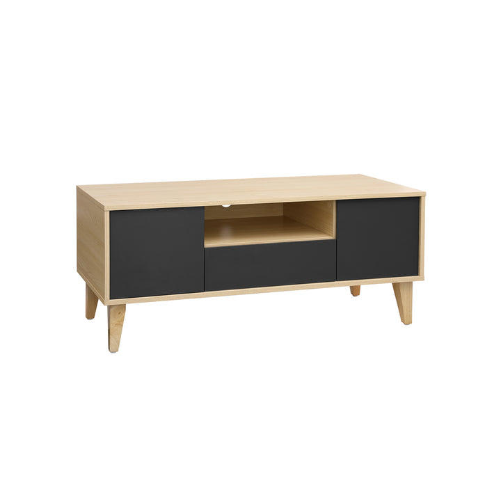 2 Doors TV Stand