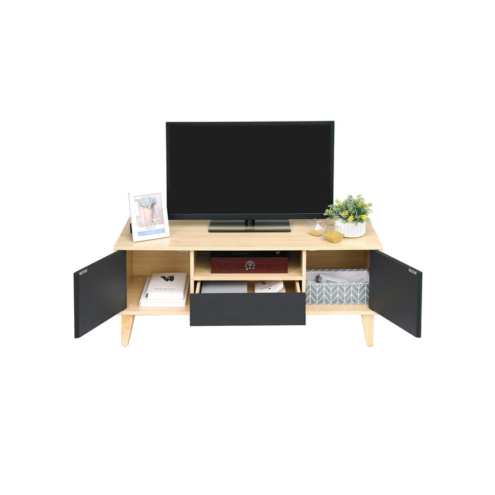 2 Doors TV Stand