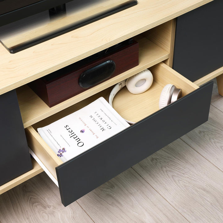 2 Doors TV Stand