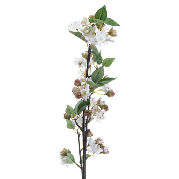 English Blossom Branch