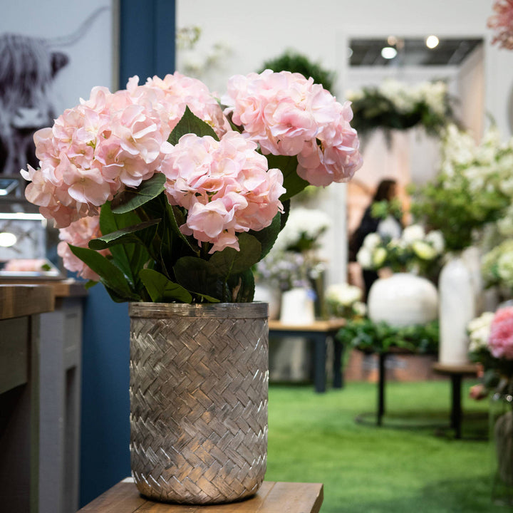 Shabby Pink Single Hydrangea