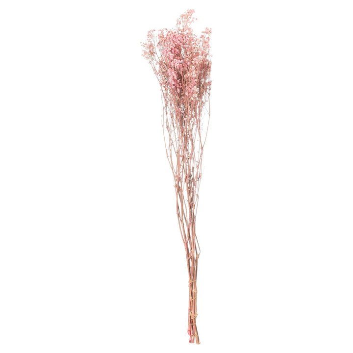 Dried Pale Pink Baby's Breath Bunch