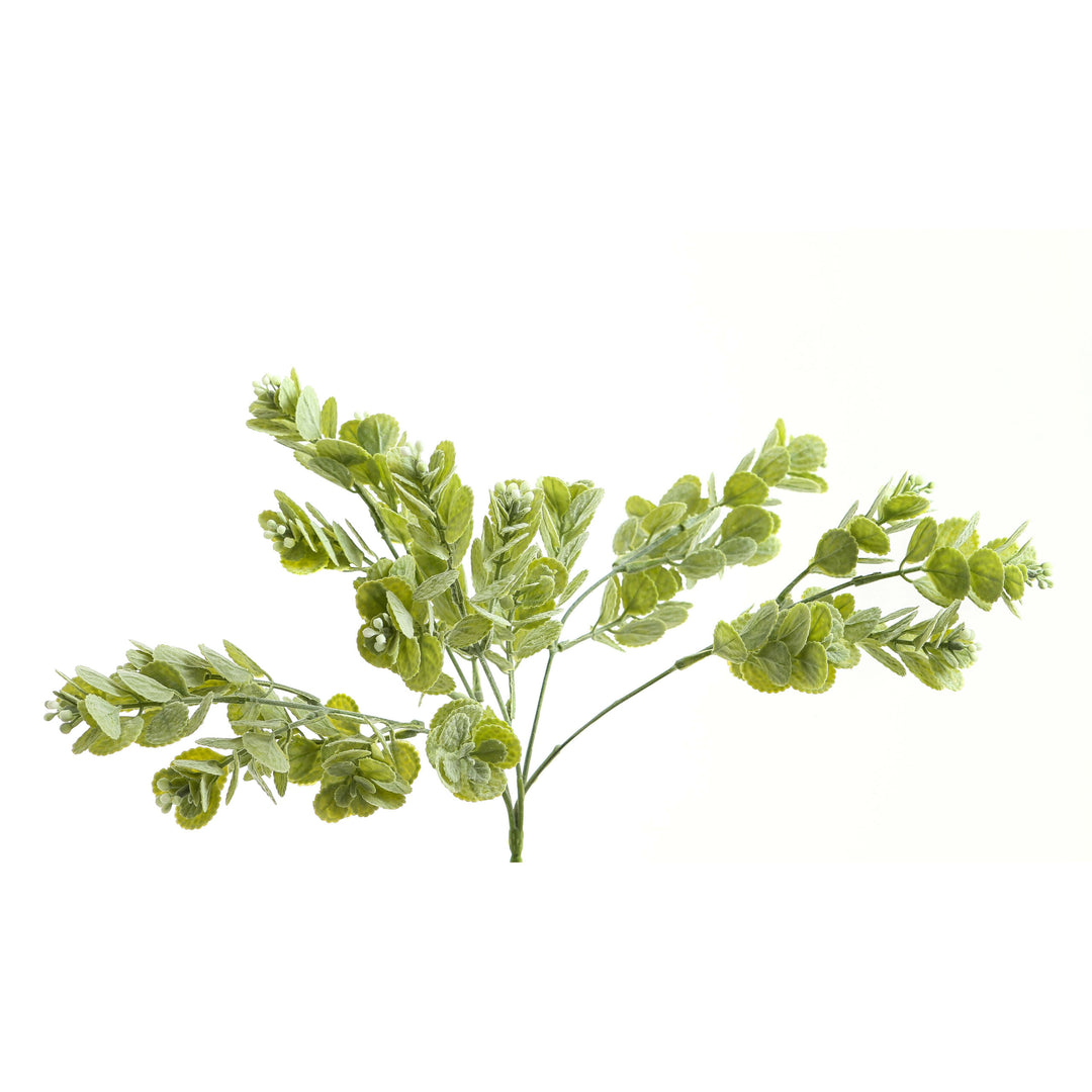 Spring Herb Greenery Bunch