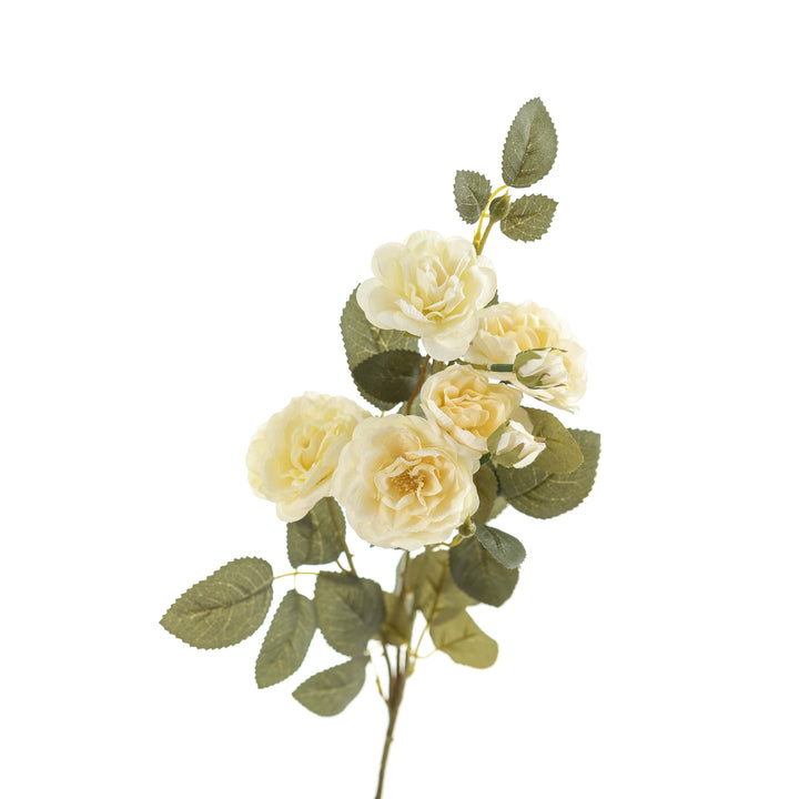 Soft White Cottage Rose Stem