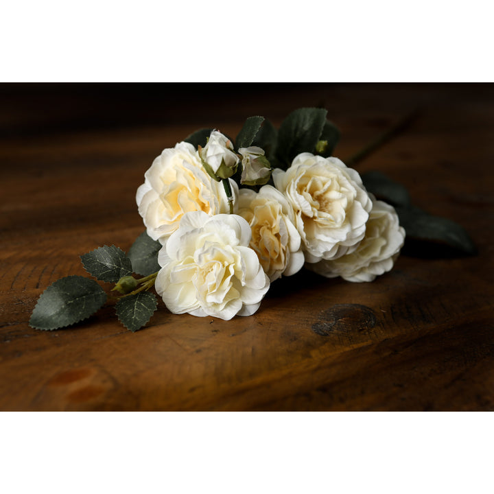 Soft White Cottage Rose Stem