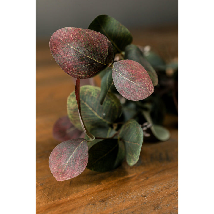 Variegated Eucalyptus Bouquet