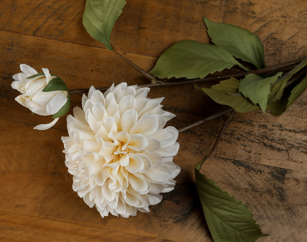 White Dahlia Stem