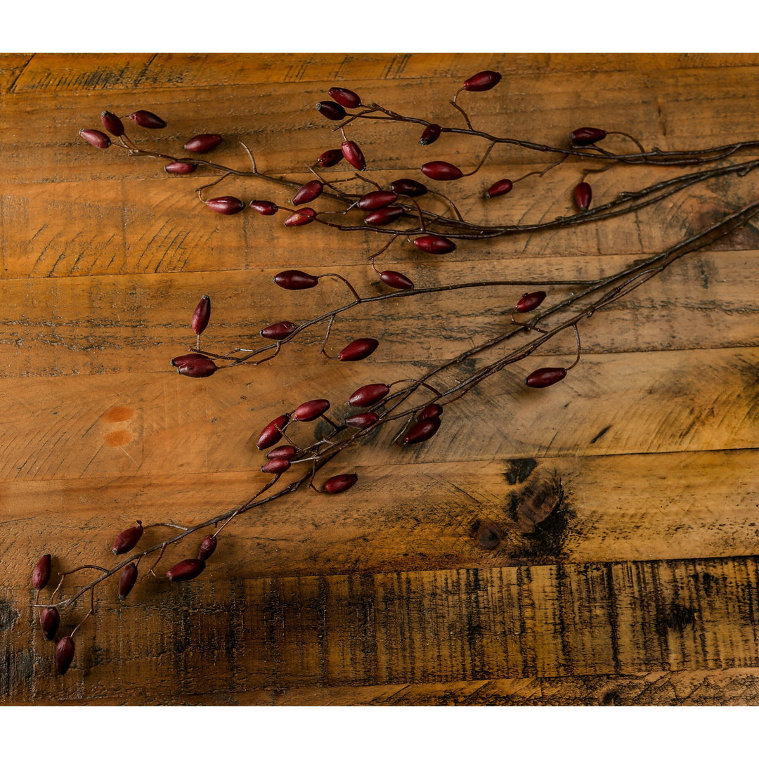 Burgundy Rosehip Stem