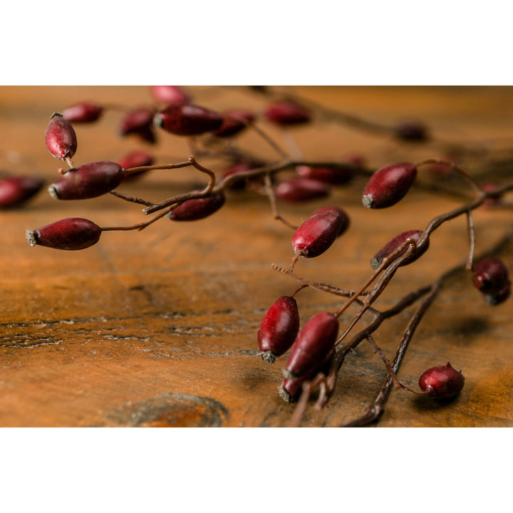 Burgundy Rosehip Stem