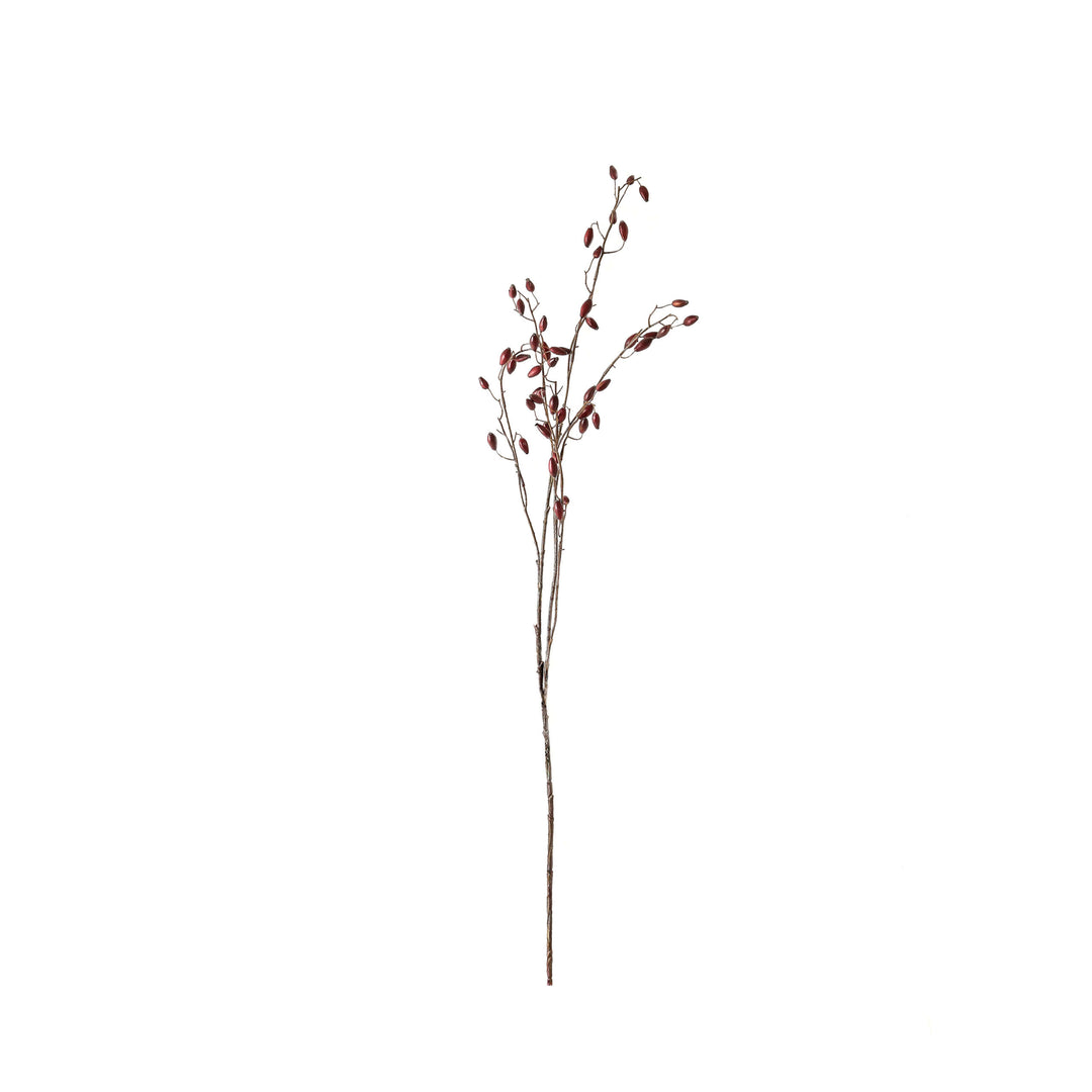 Burgundy Rosehip Stem