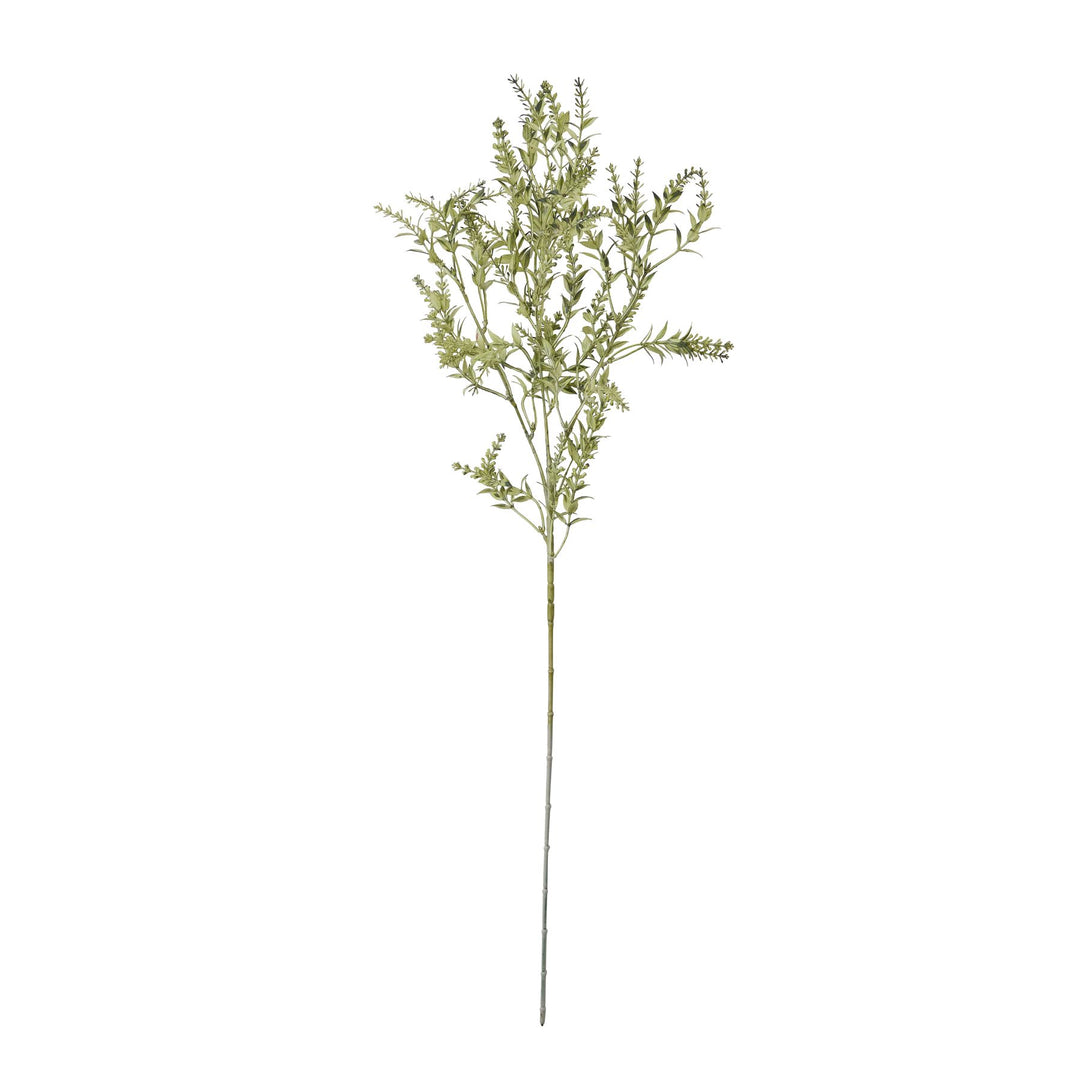 Broom Stem