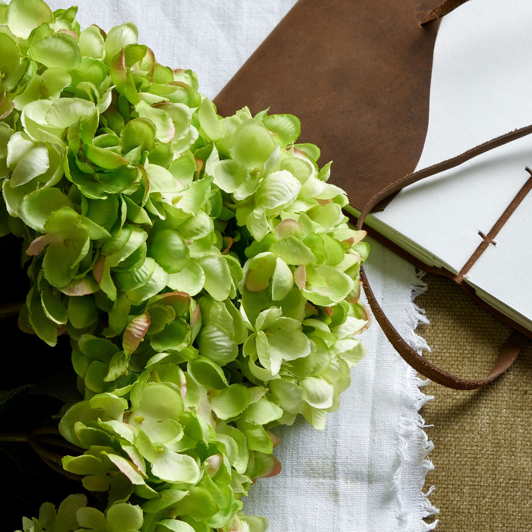 Green Hydrangea Bunch