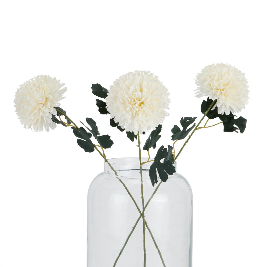 White Chrysanthemum Stem