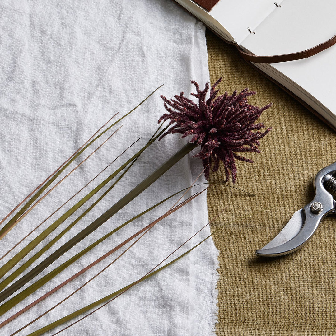 Burgundy Aster Sipder Chrysanthemum Stem