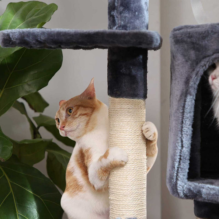 47.2 Inches Cat Tree