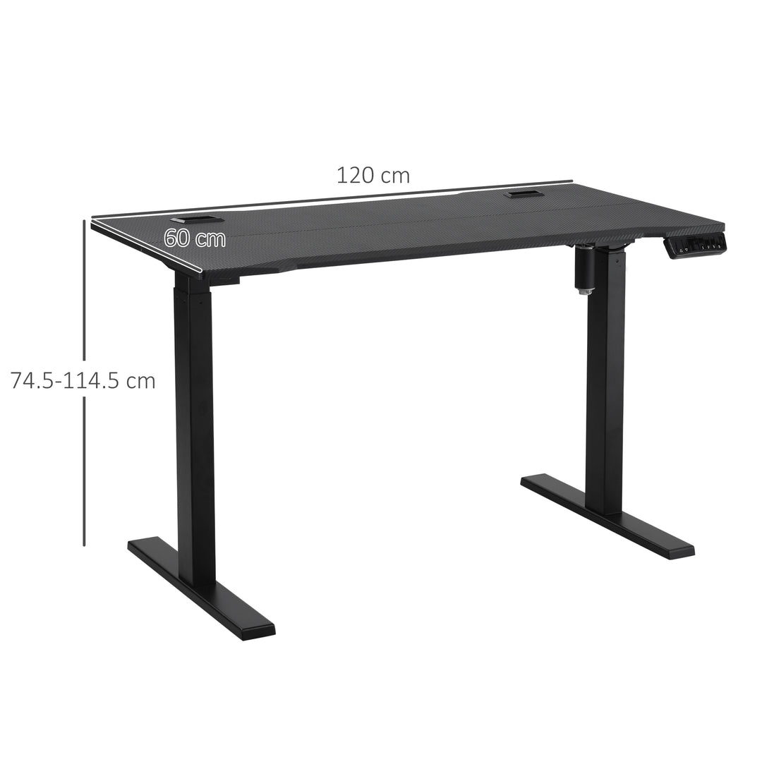 Electric Height Adjustable Standing Desk, 120 cm x 60 cm Memory Preset Stand Up Workstation for Home, Office, Black