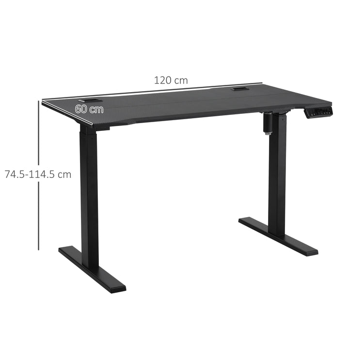 Electric Height Adjustable Standing Desk, 120 cm x 60 cm Memory Preset Stand Up Workstation for Home, Office, Black