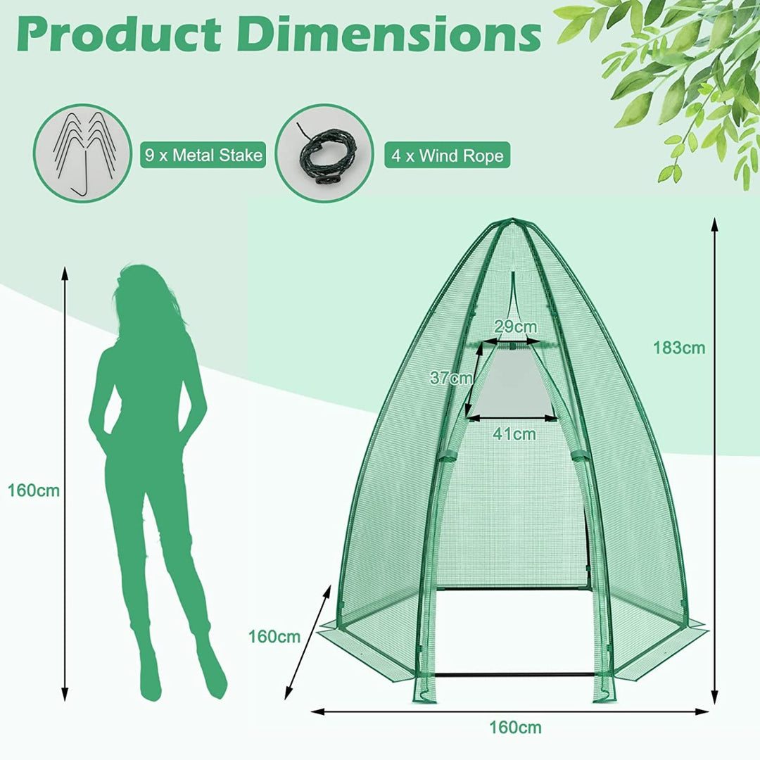 Walk in Greenhouse with Waterproof PE Cover