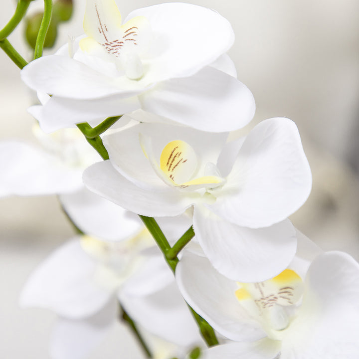 Artificial Orchid Plant in Pot, Artificial Flowers Fake Orchid Phalaenopsis for Home Decor Wedding, 17x17x14cm, White