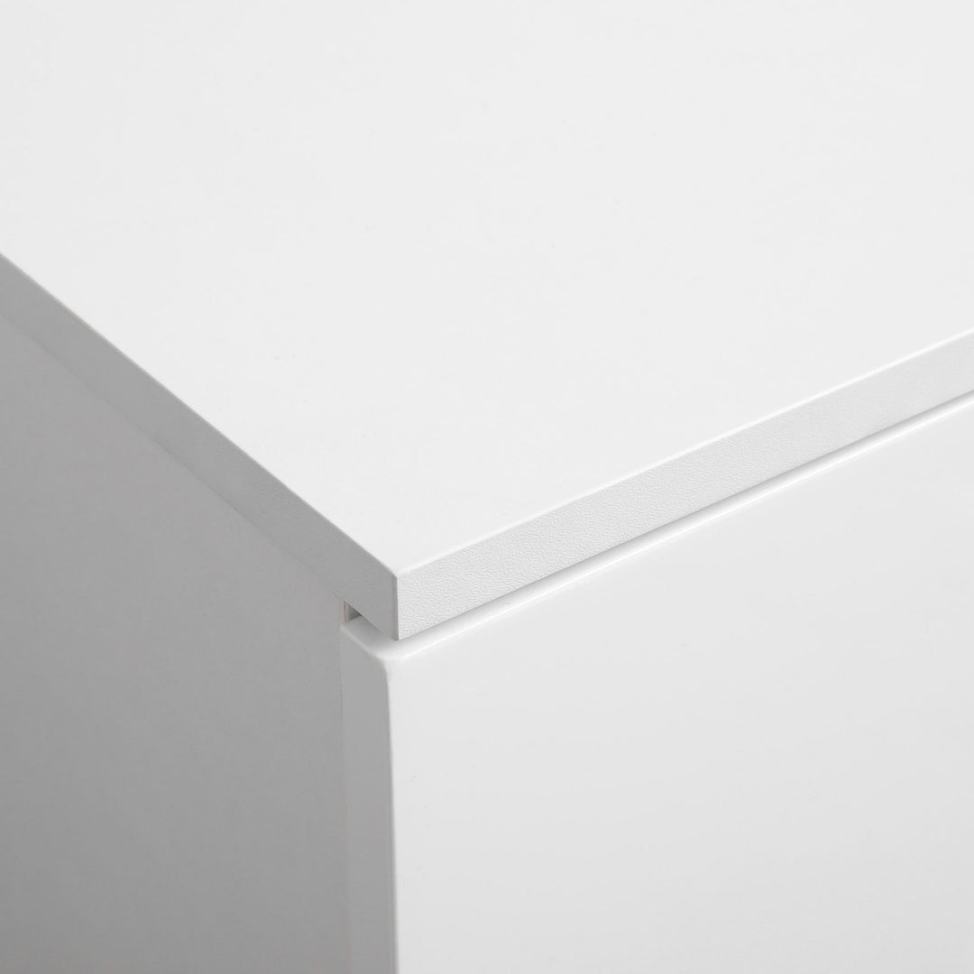 Adjustable Shelves Floor Cabinet