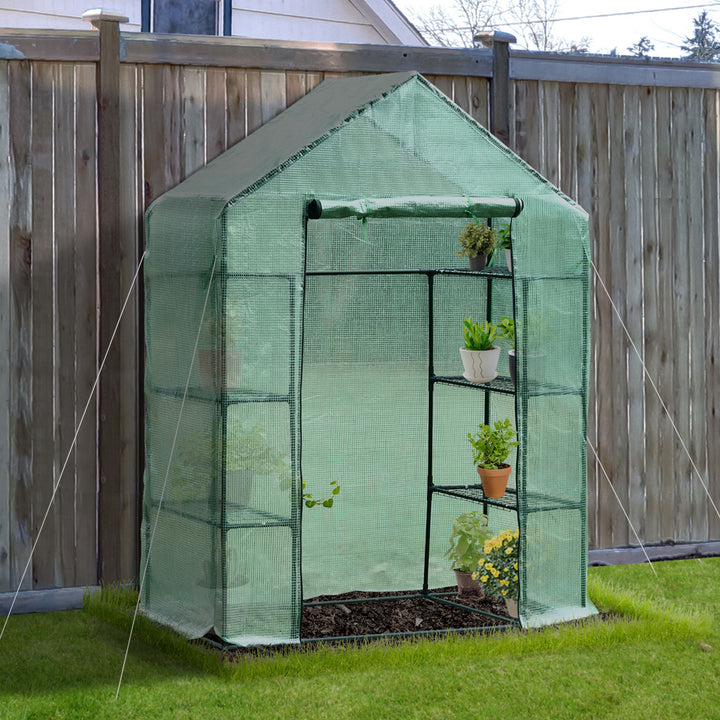 Walk in Greenhouse with Shelves Polytunnel Steeple Green house Grow House Removable Cover 143x73x195cm