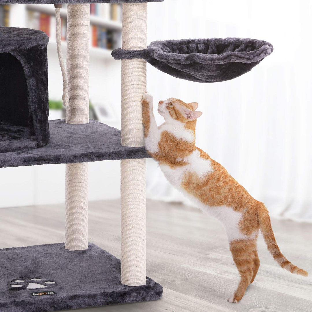 Double Perches Cat Tree