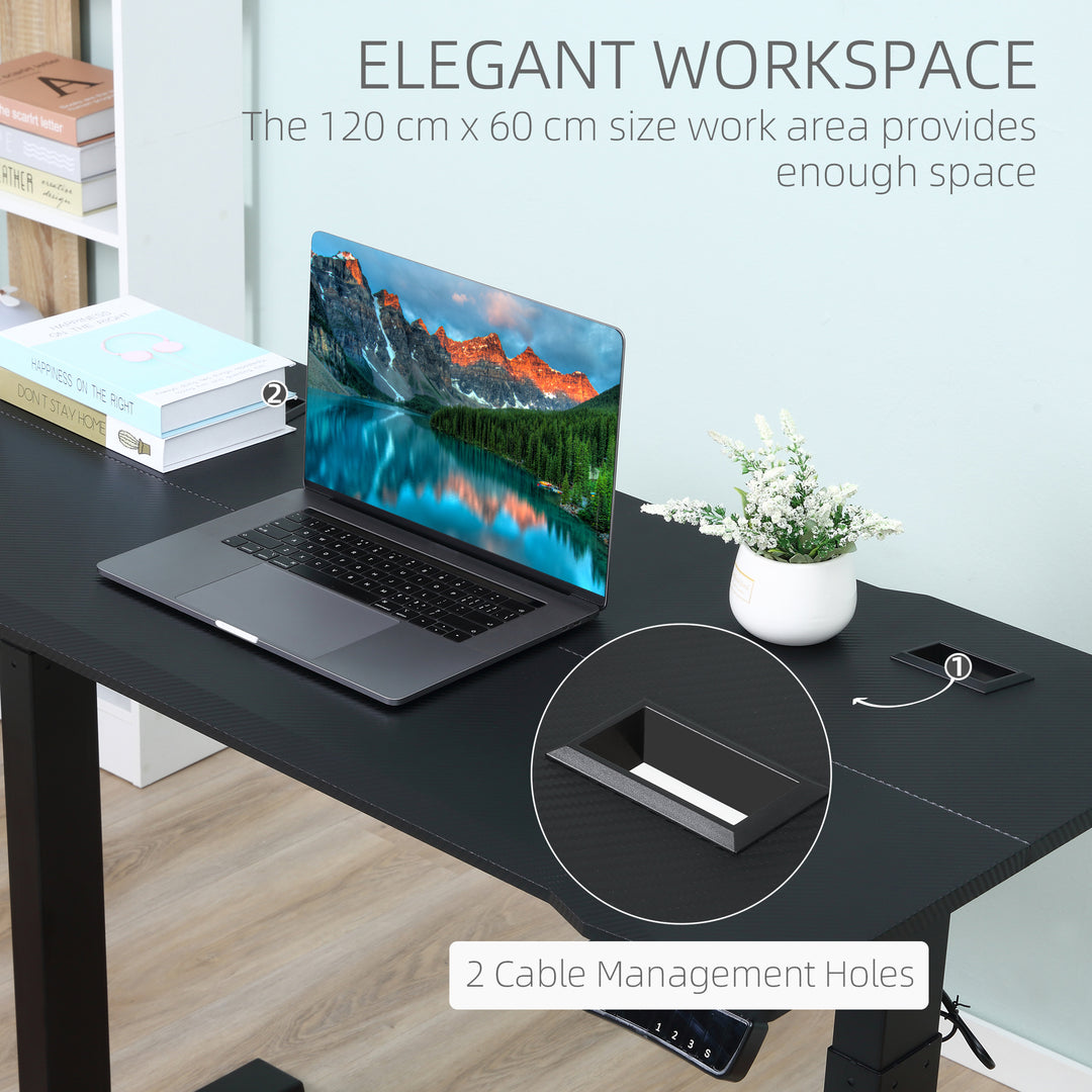 Electric Height Adjustable Standing Desk, 120 cm x 60 cm Memory Preset Stand Up Workstation for Home, Office, Black