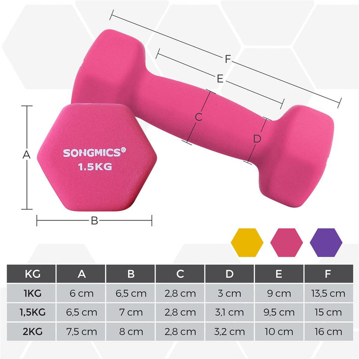 Hex Dumbbells Set with Stand