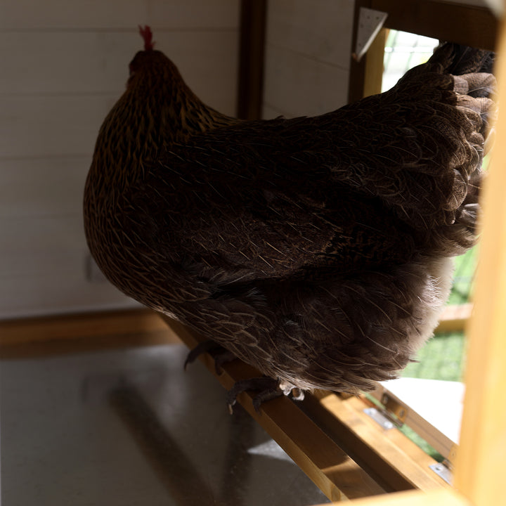 PawHut Chicken Coop, Hen House, Wooden Poultry Cage with Outdoor Run, Nesting Box, Removable Tray, Window and Lockable Door, 197 x 93 x 110cm