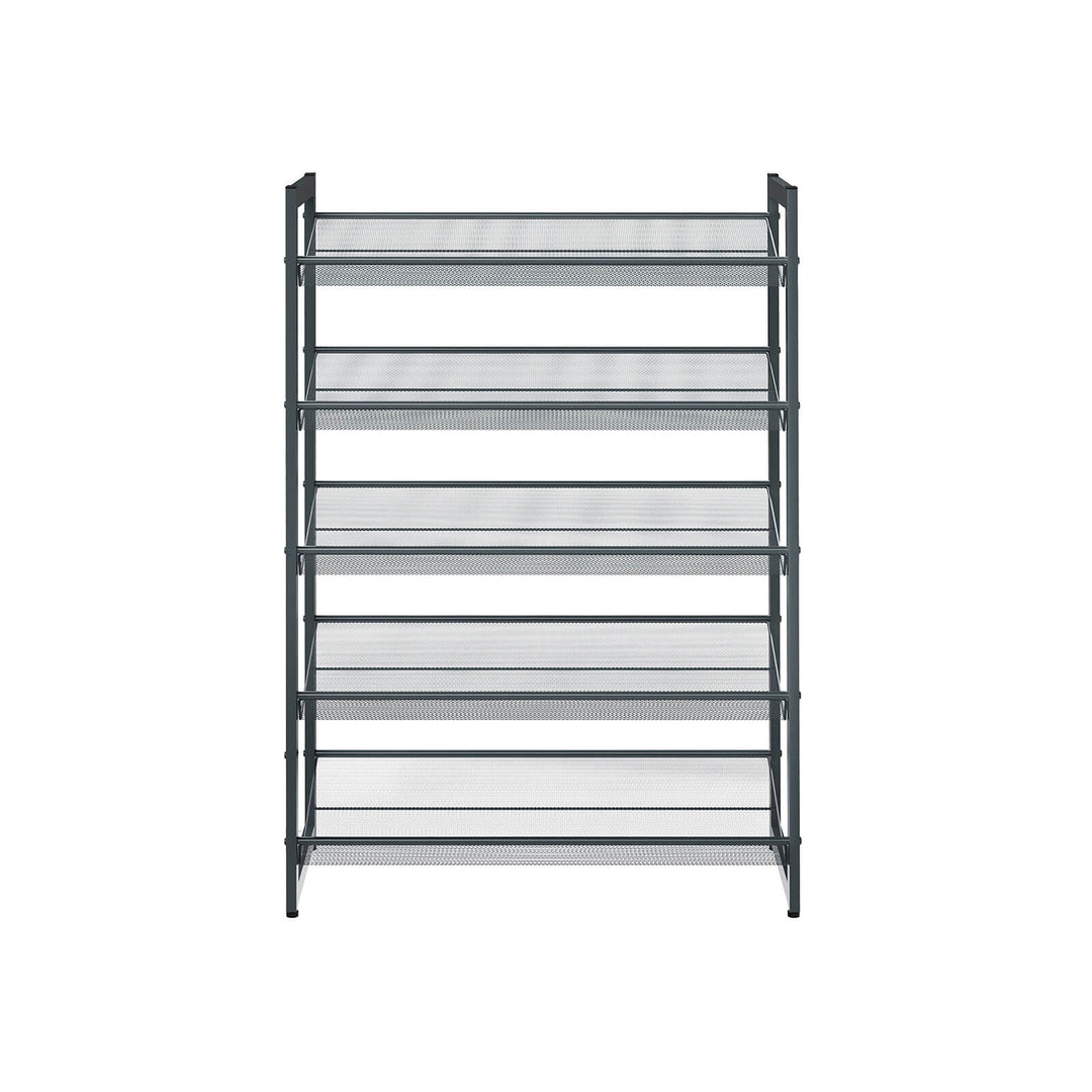 Metal Mesh Shoe Rack