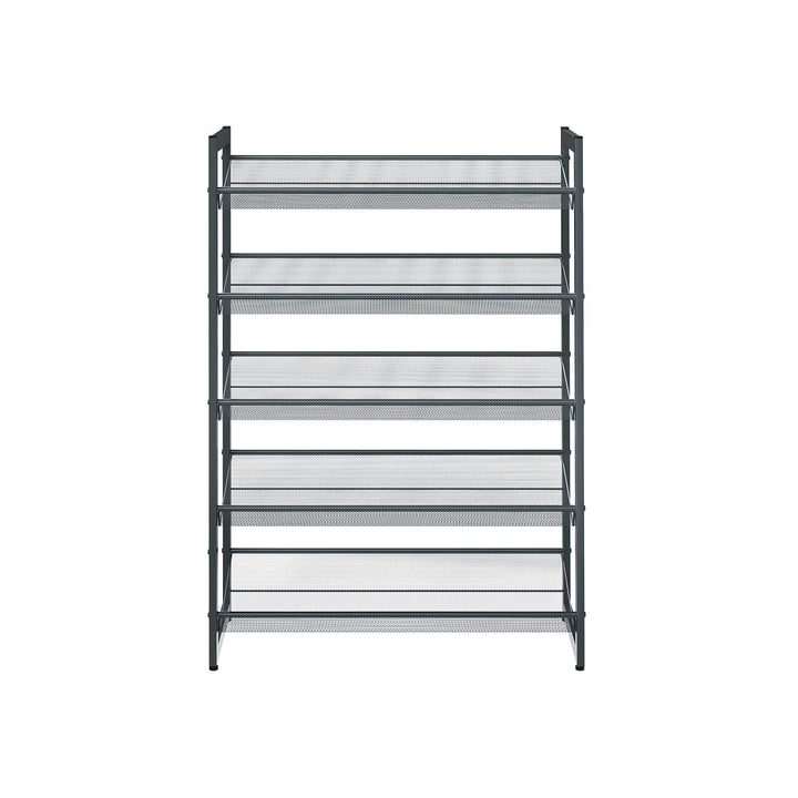 Metal Mesh Shoe Rack