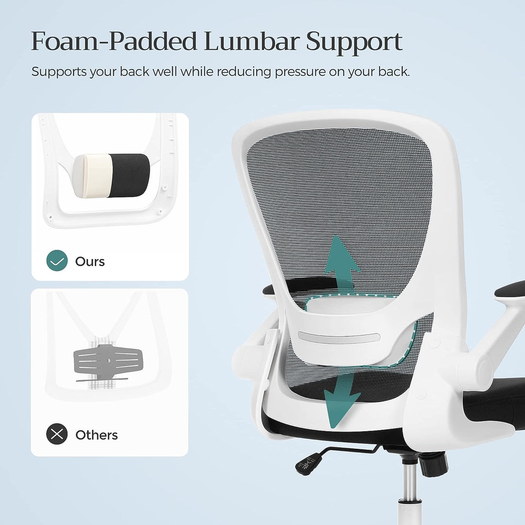 Ergonomic Office Chair with Mesh Back