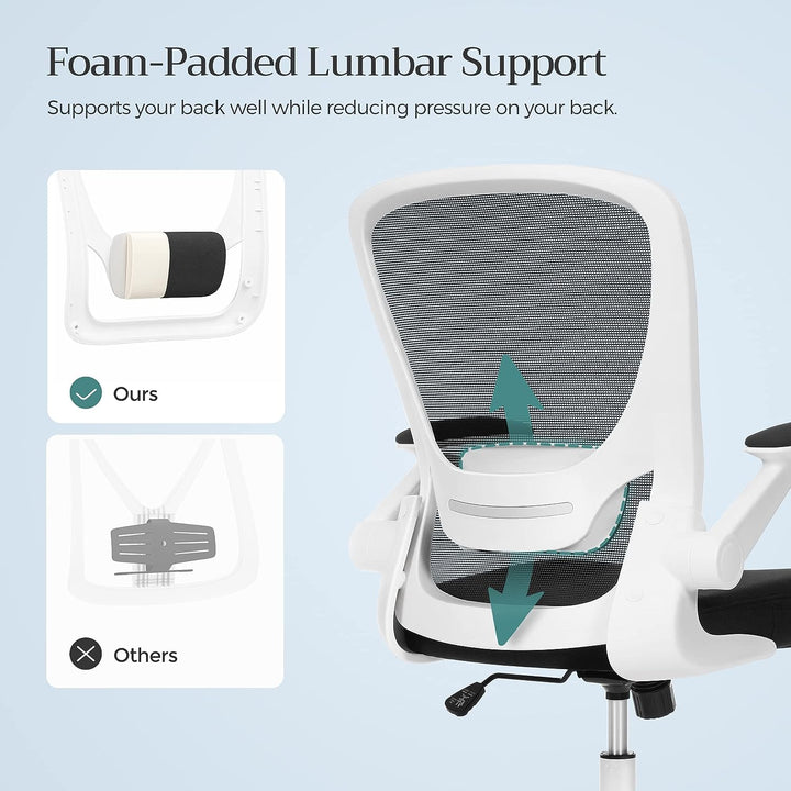 Ergonomic Office Chair with Mesh Back