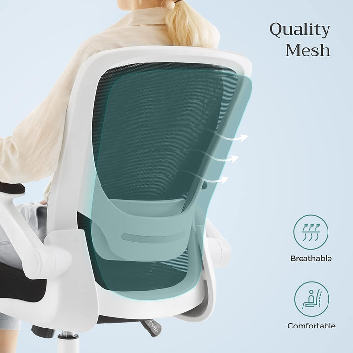 Ergonomic Office Chair with Mesh Back