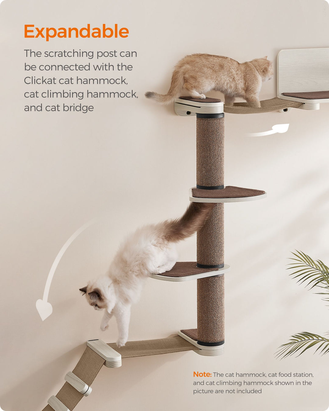 Wall-Mounted Cat Scratching Post with 2 Perches