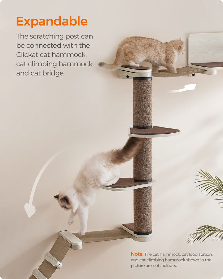 Wall-Mounted Cat Scratching Post with 2 Perches