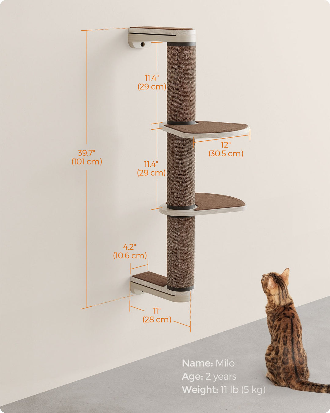 Wall-Mounted Cat Scratching Post with 2 Perches